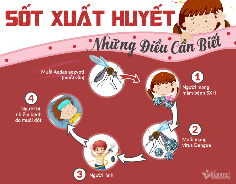 xét nghiệm sốt xuất huyết tại nhà